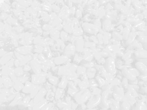 Terry Berries | Terry Farms