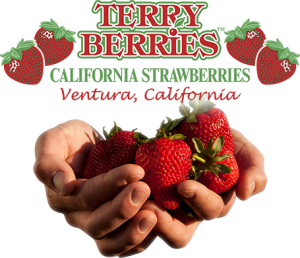 Terry Berries