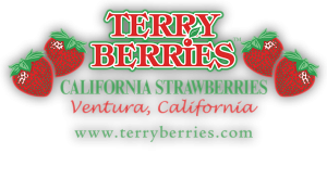 Terry Berries logo